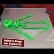 Skeleton05b.jpg Файл STL Симпатичный скелет с флекси-принтом・Модель 3D-принтера для загрузки