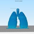 pulmao-simplfy2.jpg Lung keychain
