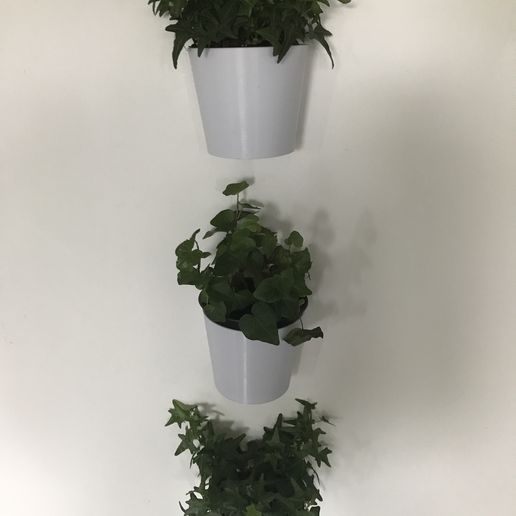 IMG_3913.JPG Removable Wall Mounted Pot