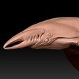 4.jpg Chelicerate - SUBNAUTICA BELOW ZERO