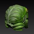 жаб-6.jpg Cabbage Frog