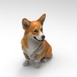 c3.jpg Corgi assis