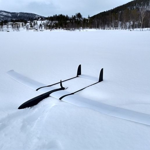 IMG_20180328_142316224_HDR.jpg Melusine - Planeur électrique et plateforme FPV imprimés en 3D