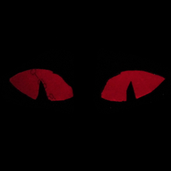 Capture_d__cran_2015-10-21___22.51.22.png Free STL file Zheng's Creepy Peepers・Template to download and 3D print, Zheng3