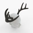 Headshot_Image-0005.jpg Medium Deer Antlers | Tracy