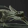 4.jpg MELEYS: Full body Skeleton