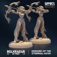 resize-001-10.jpg Seekers of the Ethernal Moon ALL VARIANTS - MINIATURES 2023