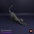 Gato.jpg Cat 3d puzzle cat low poly
