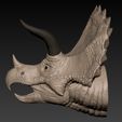 002.jpg Triceratops Head