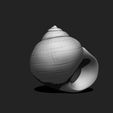 04_shell-4-3d-print-aquarium-3d-model-obj-fbx-stl.jpg Shell 4 - 3D Print - Aquarium - Sea Life