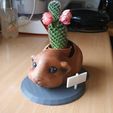 5b758fa8b577f7e1ace6c792741cd316_display_large.jpg Pot de fleur de cobaye - pot de fleurs cochon d'inde