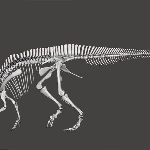 Dinosaur Lambeosaurus complete skeleton 3D model