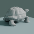 0005.png Tortue