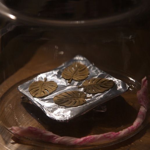 5f269c73effb050b64c454695c348b40_display_large.jpg серьги с листьями