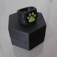 Capture d’écran 2016-11-29 à 10.30.47.png STL-Datei Chat Noir's Ring kostenlos・3D-druckbares Objekt zum herunterladen