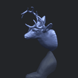 11_TDA0615_Deer_HeadB00-1.png Hirschkopf