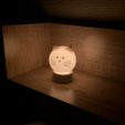 line_2802536359340395.jpg Soothing Cat Lampshade