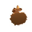 dfgfdgdfgfg.jpg Sprout Root / Seed root / Plant root cross / Botanical