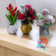 11.png Dado Polyhedron Planters - set of 3