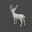 Deer_1.3.jpg Fallow Deer Sculpture