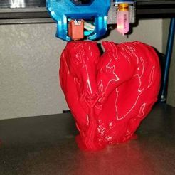 Will you be my Valentine? Horses Heart