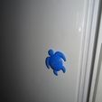 tortue 3.jpg Tortue