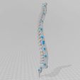 5.jpg SPINE WITHOUT SUPPORTS PROFESSIONAL MEDICINE