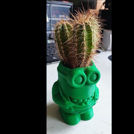 20190620_0927232.jpg Maceta de flores de los secuaces