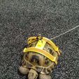 tortoise.jpg Tortoise harness