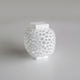 Capture_d__cran_2014-10-14___11.54.09.png Voronoi Wind Vase 1