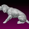 9.jpg Dog statue Spaniel