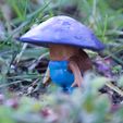 DSC_9555.jpg Animated Explorer Mushroom
