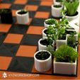 2.jpg Micro Planter Chess Set