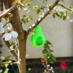 225294D5-9D66-4B8A-B11B-7474AC9646B3.JPG Free STL file Bird feeder・3D print design to download