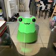 Boîte à butin grenouille kawaii - Impression en place - Sans support