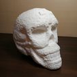 IMG_20191016_091240.jpg Mexican skull