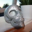 IMG_4746.JPG Skull