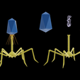 Bacteriophage_Color.png Bacteriophage Anatomy