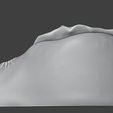 2.png Anatomical 3D Model of a Realistic Female Vagina - STL for 3D Printing