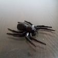 c68693fe17c4759fc50b0f326a055ebd_display_large.jpg Free STL file House Spider Fixed・3D printer model to download