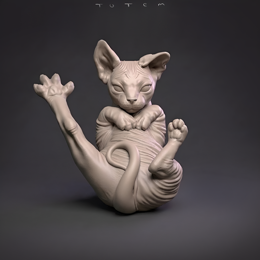 Chat sphynx