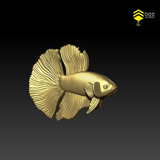 Betta_4.jpg Betta fish - Ready for 3D print