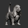 basset-hound9.jpg basset hound 3D print model