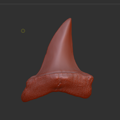 1.png Mako Shark Tooth Model