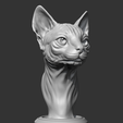 10.png Sphynx Cat Head AM08 3D print model