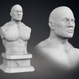 10-TheRock_Current_Cover.jpg Current WWE Pack Busts - The Rock - Triple H - Brock Lesnar