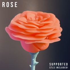 Rose_photo3.jpg Fichier STL gratuit Rose・Idée pour impression 3D à télécharger, Beastie-Toyz