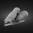 Couple-of-parrots-in-love-render.png Couple of parrots in love
