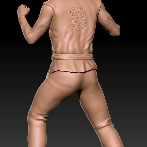 hawk-cap2.jpg Cobra Kai Hawk Eli