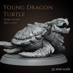 Preview1.png Young dragon turtle